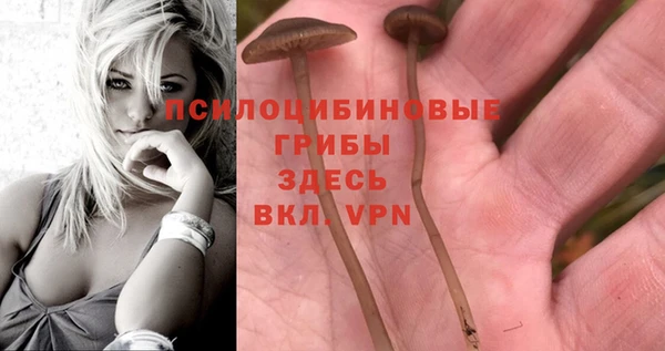 круглые Алексин