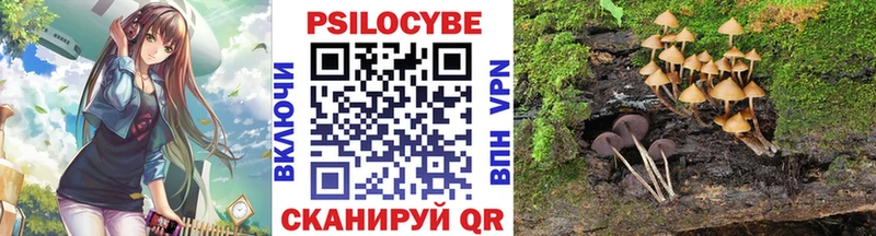 Галлюциногенные грибы Cubensis Грязовец